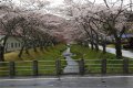 湯沢川(鳴子温泉玉ノ木)