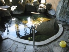 つるの湯浴室
